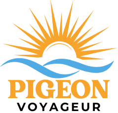 Pigeon voyageur
